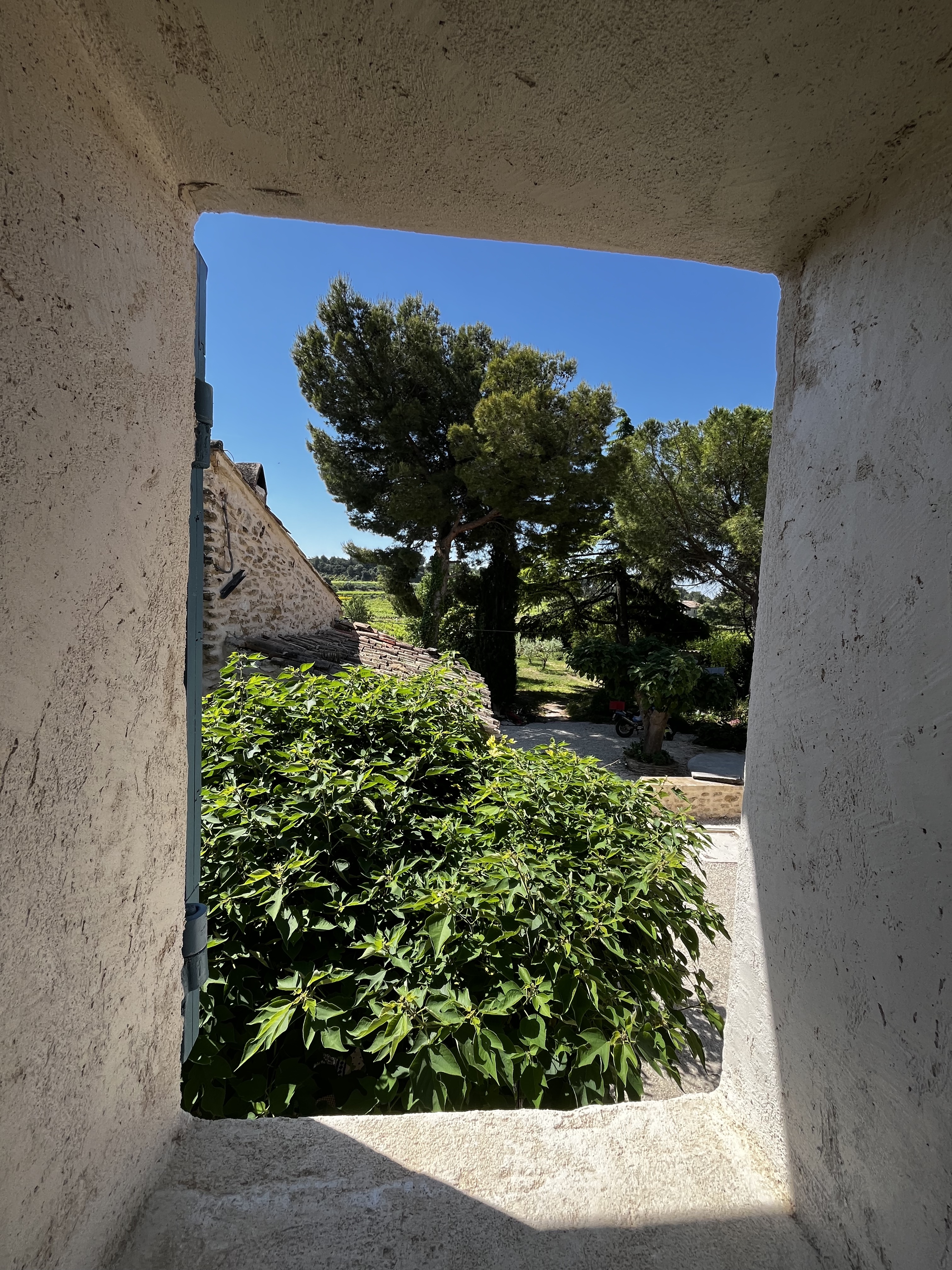 Vue depuis la chambre double — jardin et vignoble